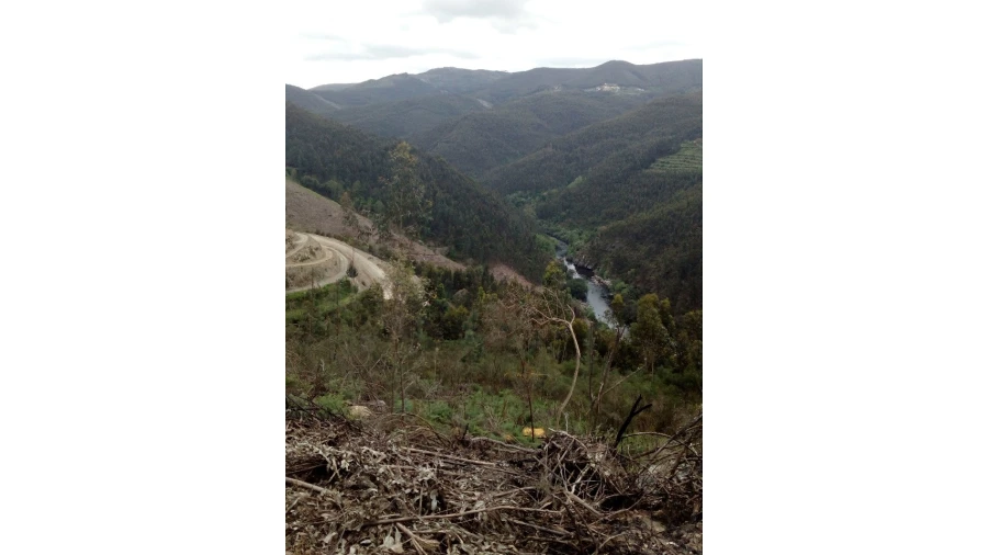Terreno para Venda em Canelas e Espiunca Foto 1