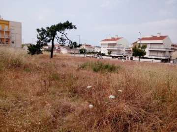 Terreno para Venda em Torreira