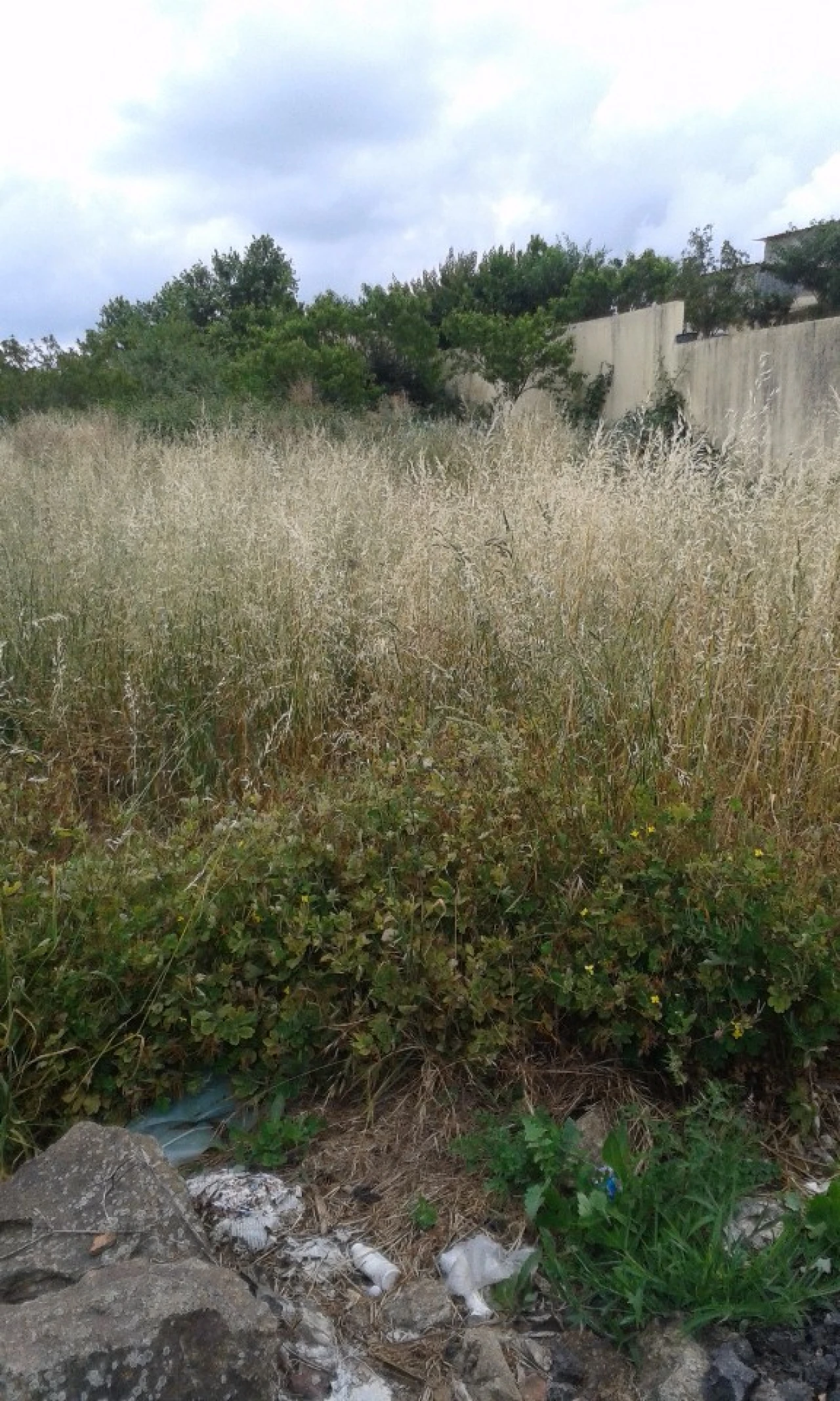 Terreno para Venda em São João da Madeira Foto 5