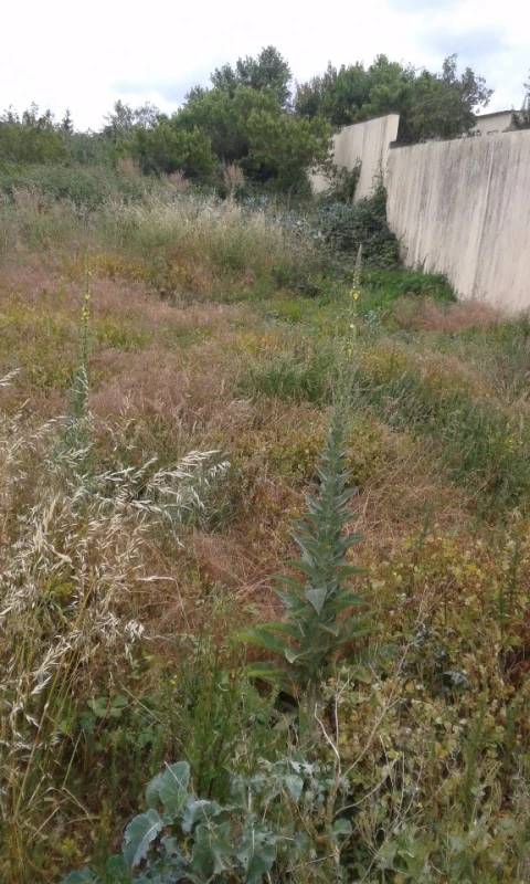 Terreno para Venda em São João da Madeira