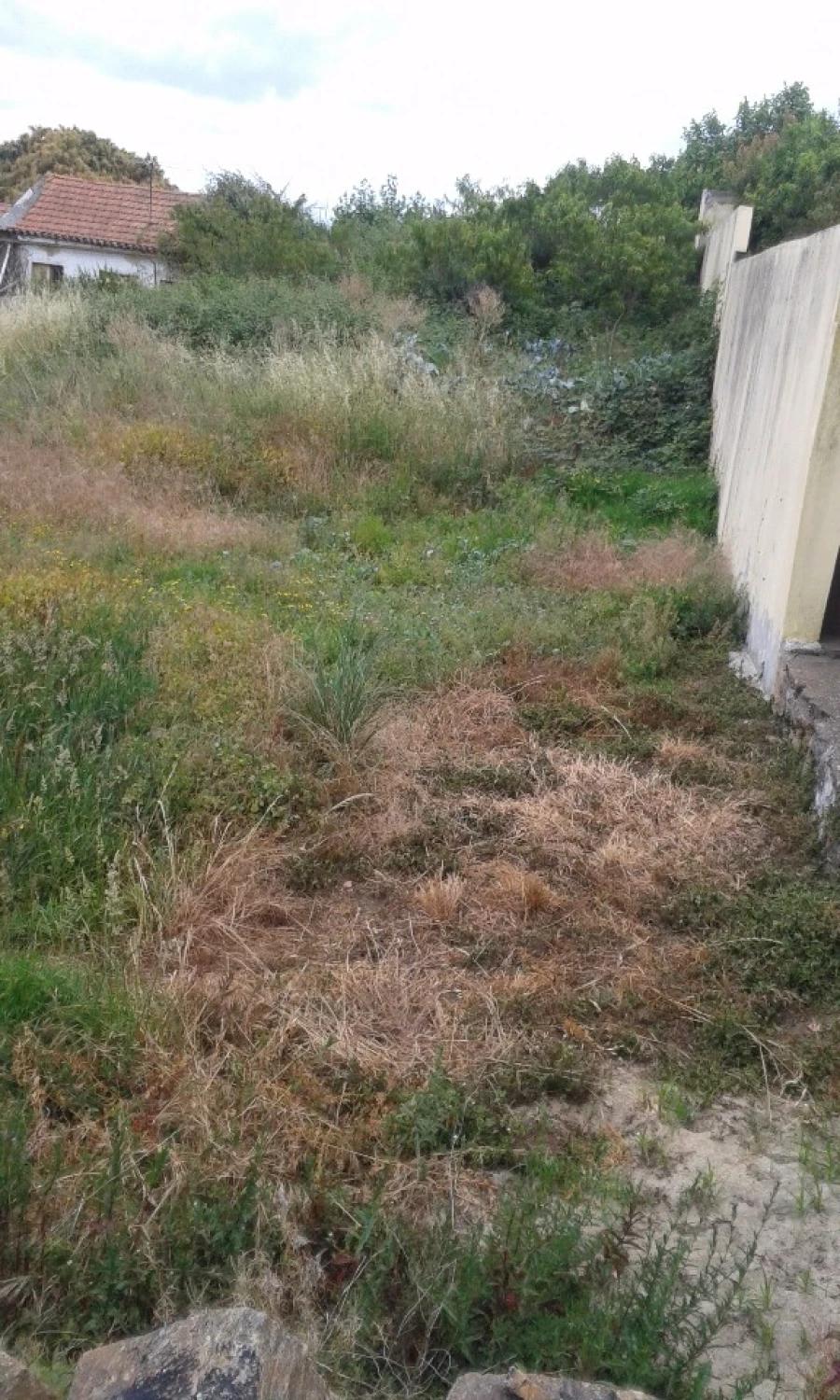 Terreno para Venda em São João da Madeira Foto 4