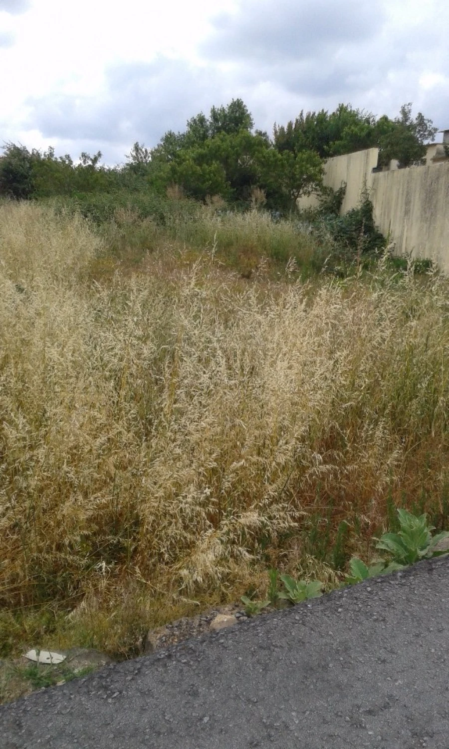 Terreno para Venda em São João da Madeira