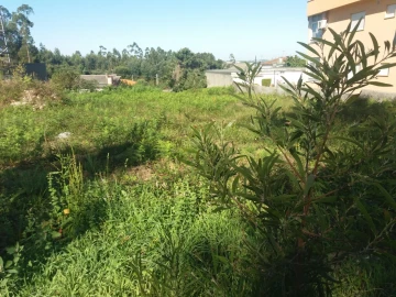 Terreno para Venda em Lobão, Gião, Louredo e Guisande