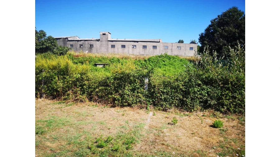 Terreno para Venda em Lourosa Foto 3