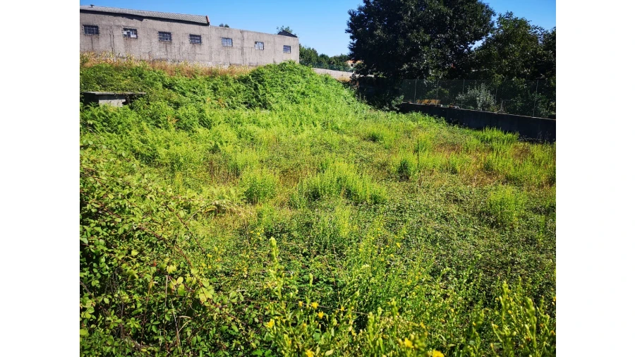 Terreno para Venda em Lourosa Foto 4
