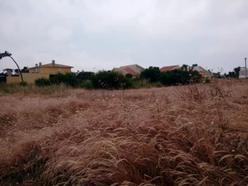 Terreno para Venda em Torreira