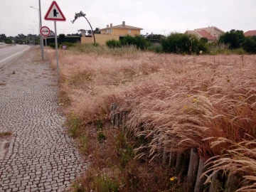 Terreno para Venda em Torreira
