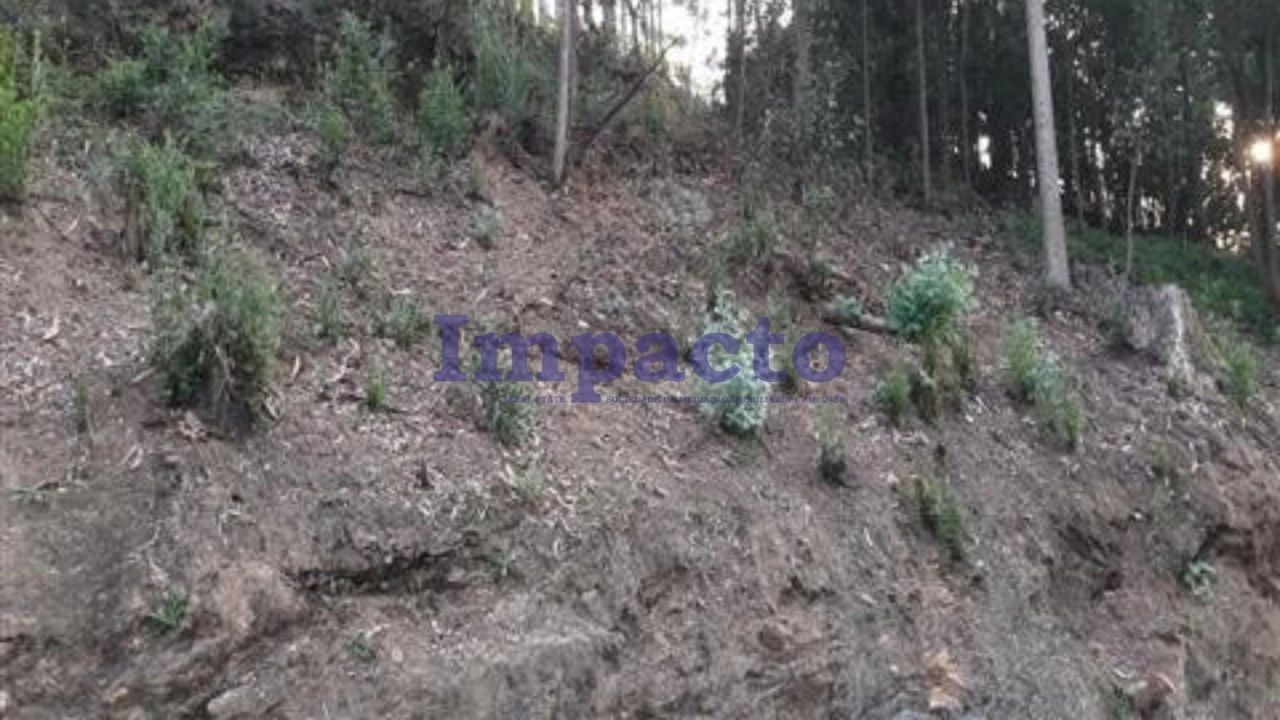 Terreno para Venda em Vila de Cucujães Foto 1