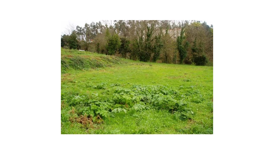 Terreno para Venda em Fornos Foto 1