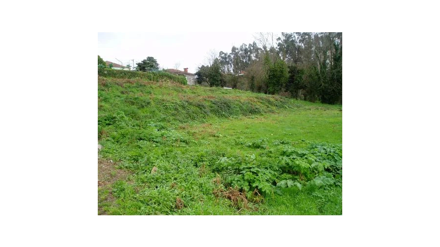 Terreno para Venda em Fornos Foto 4