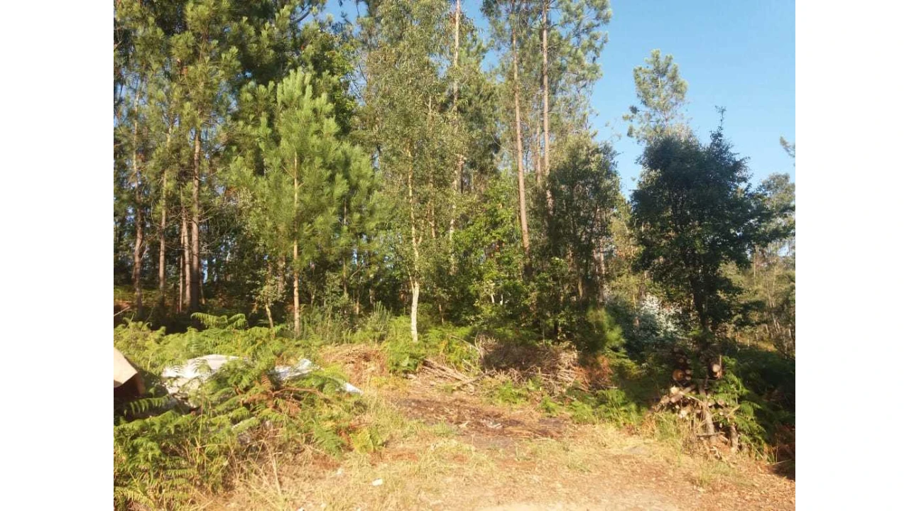 Terreno para Venda em Escariz Foto 2