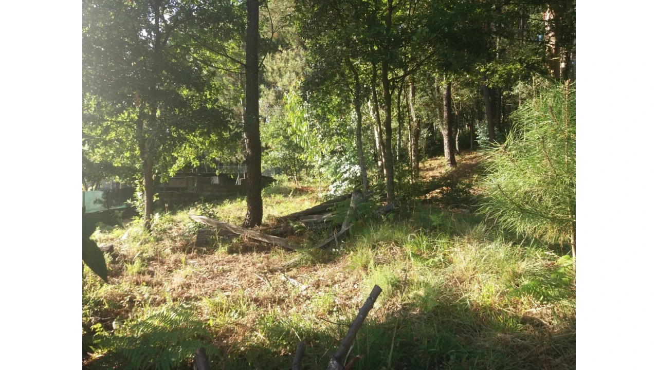 Terreno para Venda em Escariz Foto 3