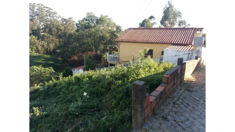 Terreno para Venda em Vila de Cucujães