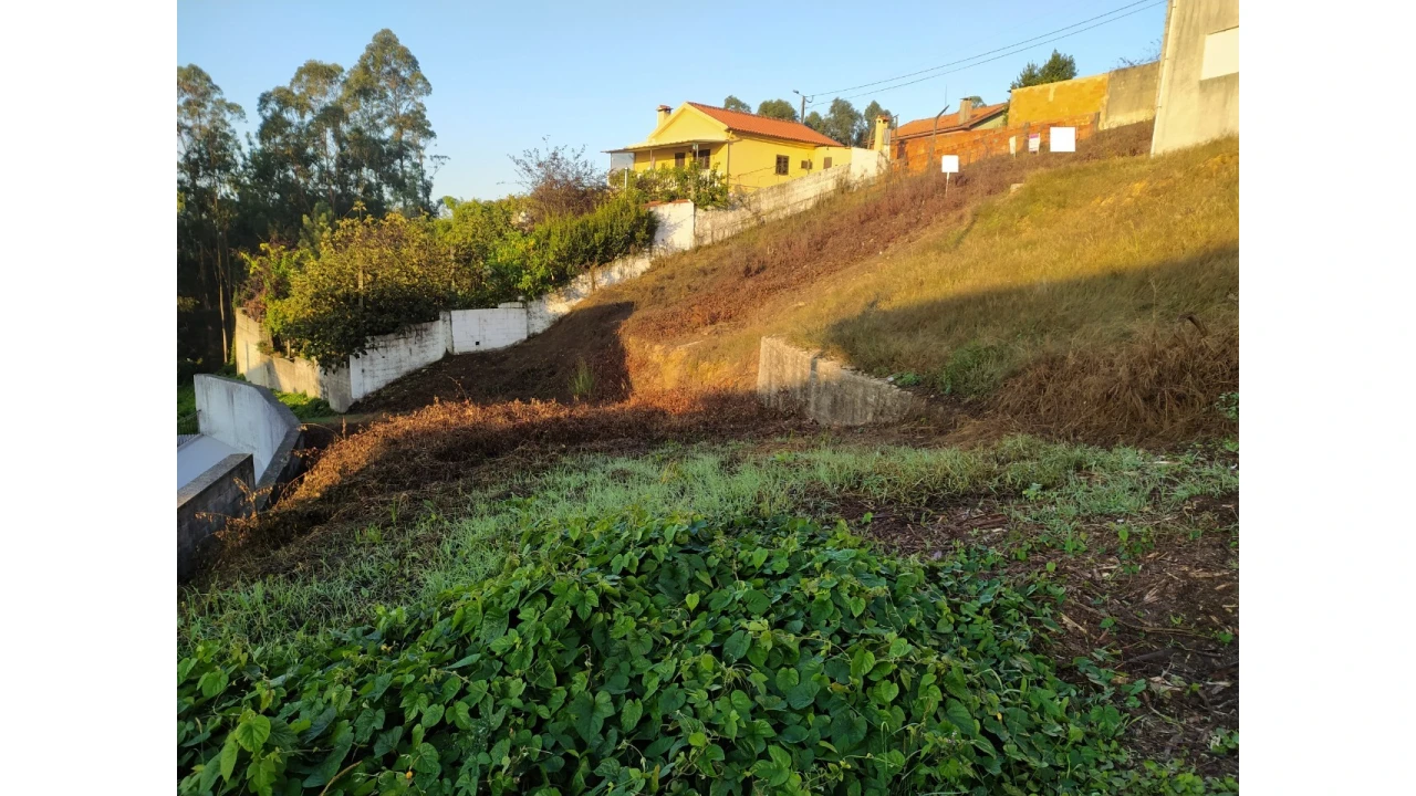Terreno para Venda em Vila de Cucujães Foto 4