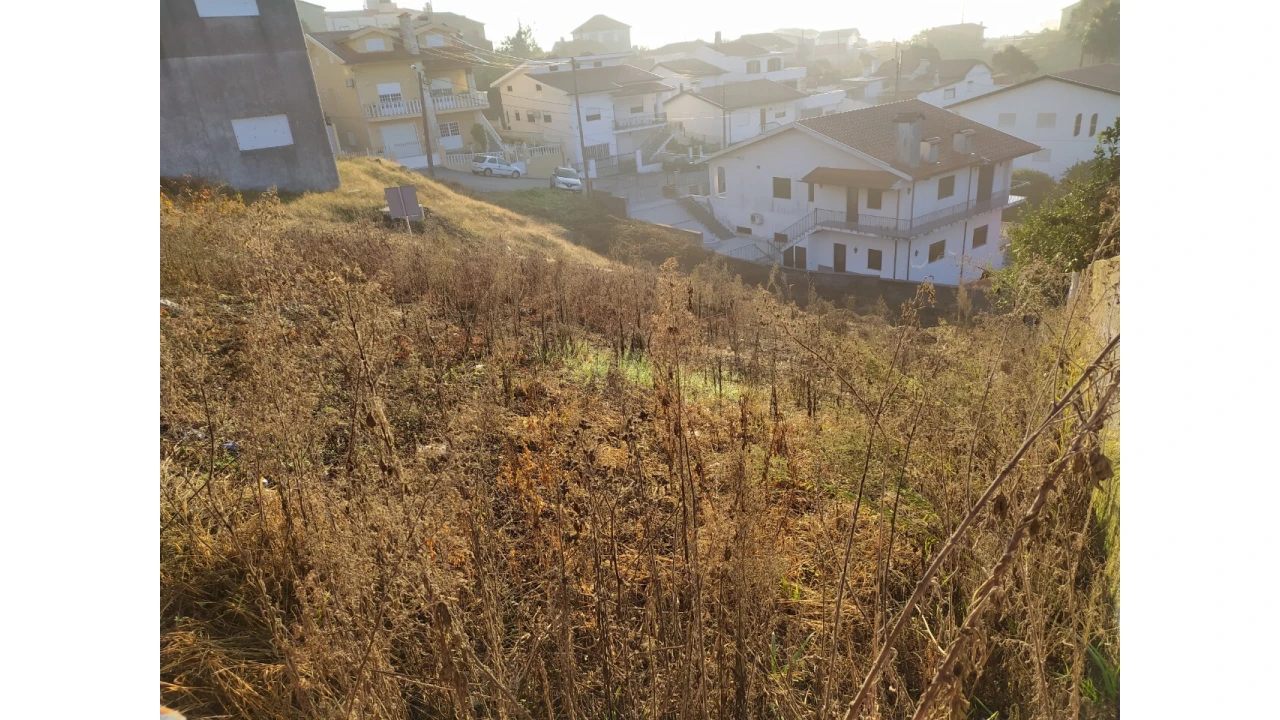 Terreno para Venda em Vila de Cucujães Foto 6