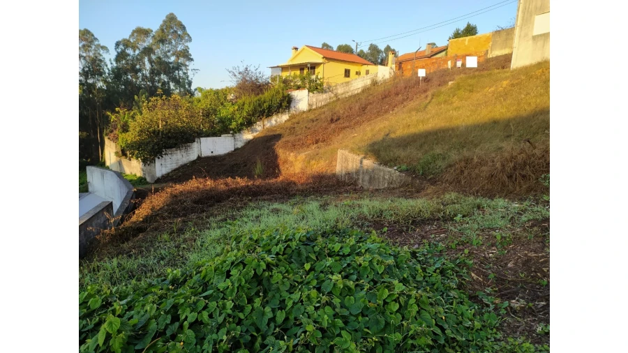 Terreno para Venda em Vila de Cucujães Foto 4