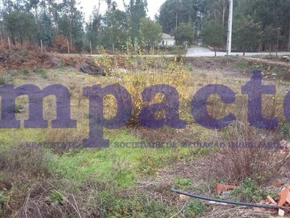 Terreno para Venda em Fajões Foto 1