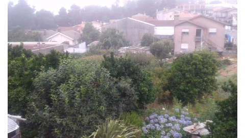 Terreno para Venda em Arrifana