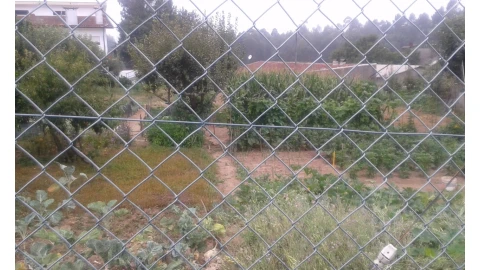 Terreno para Venda em Arrifana