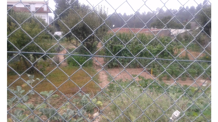 Terreno para Venda em Arrifana Foto 3