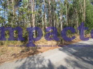 Terreno para Venda em Caldas de São Jorge e Pigeiros
