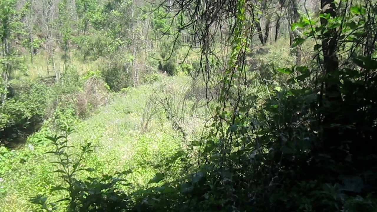 Moradia T2 para Venda em Raiva, Pedorido e Paraíso Foto 18