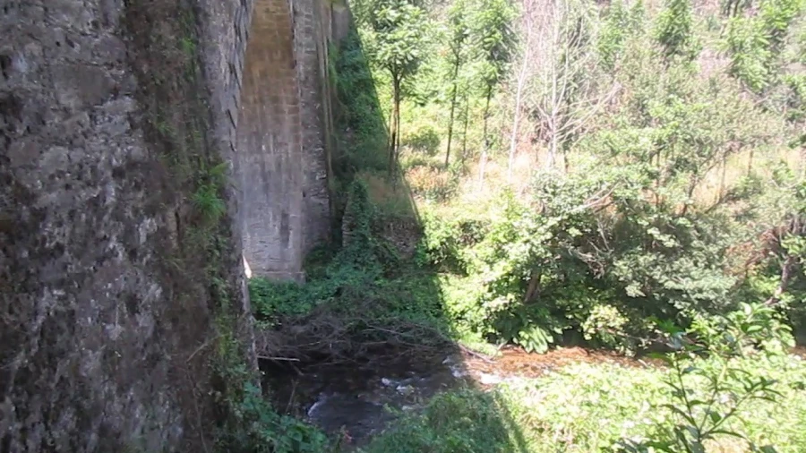 Moradia T2 para Venda em Raiva, Pedorido e Paraíso Foto 19