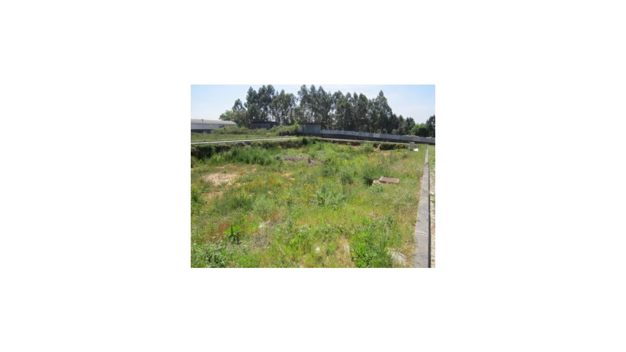 Terreno para Venda em Escapães Foto 1