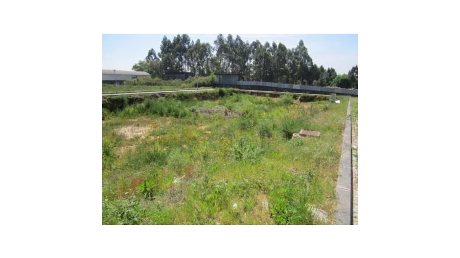 Terreno para Venda em Escapães