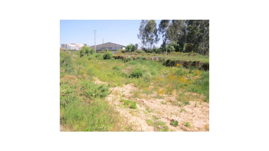 Terreno para Venda em Escapães Foto 2