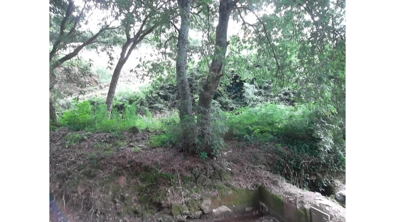 Terreno para Venda em Vila de Cucujães Foto 1