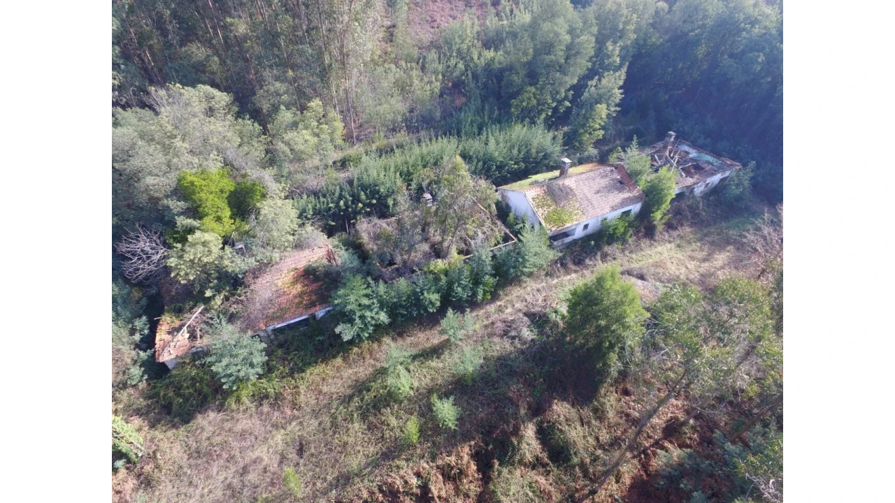 Quinta T16 para Venda em Pinheiro da Bemposta, Travanca e Palmaz Foto 1