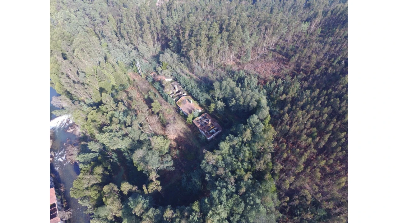 Quinta T16 para Venda em Pinheiro da Bemposta, Travanca e Palmaz Foto 7