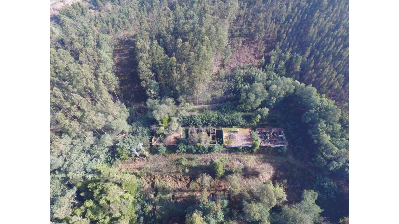 Quinta T16 para Venda em Pinheiro da Bemposta, Travanca e Palmaz Foto 9