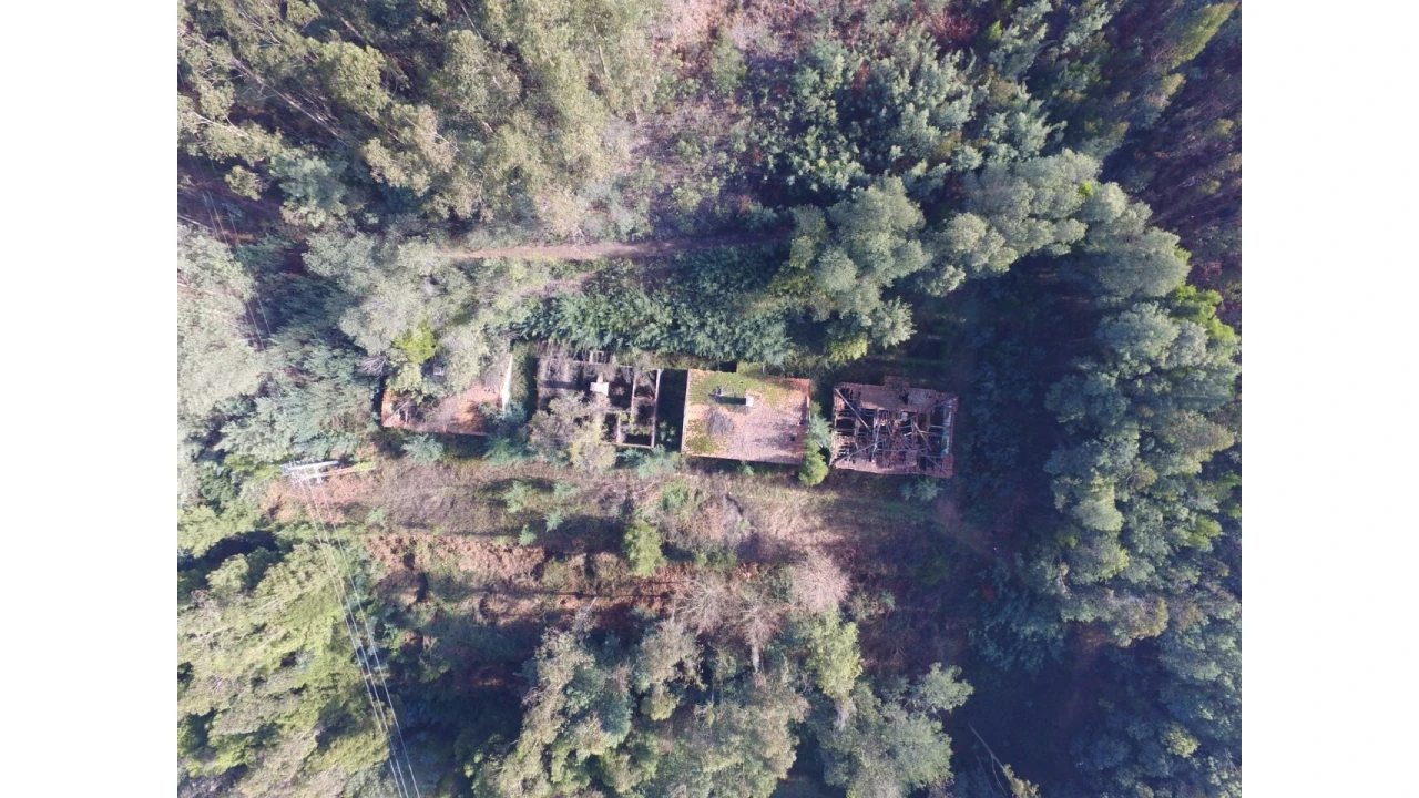 Quinta T16 para Venda em Pinheiro da Bemposta, Travanca e Palmaz Foto 14