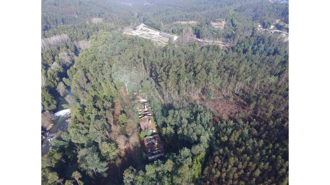 Quinta T16 para Venda em Pinheiro da Bemposta, Travanca e Palmaz Foto 17