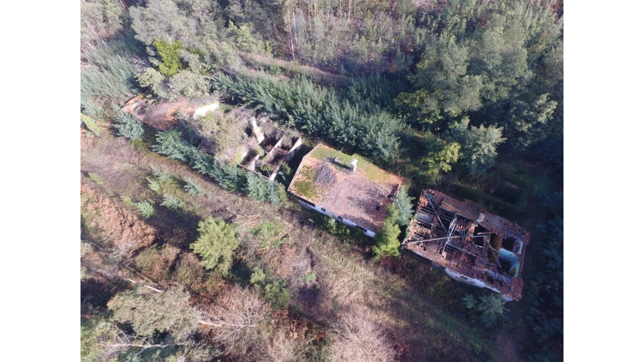 Quinta T16 para Venda em Pinheiro da Bemposta, Travanca e Palmaz Foto 18