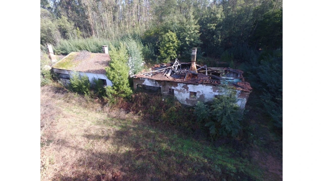 Quinta T16 para Venda em Pinheiro da Bemposta, Travanca e Palmaz Foto 3