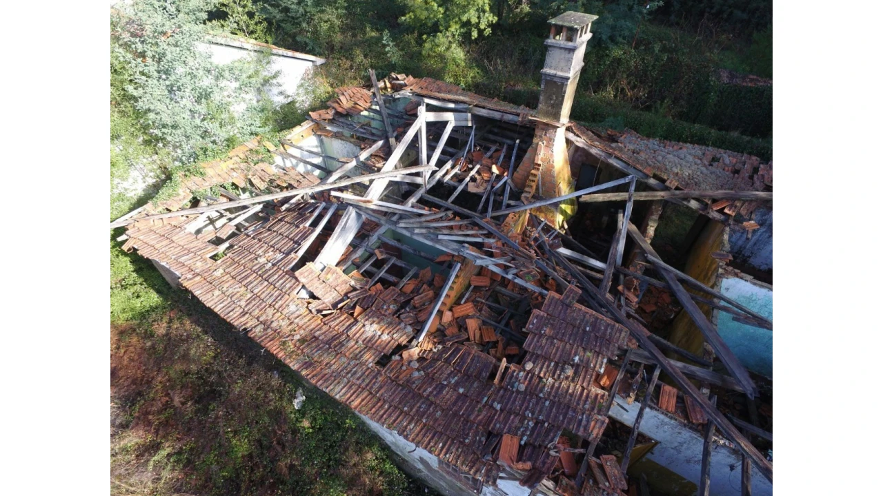 Quinta T16 para Venda em Pinheiro da Bemposta, Travanca e Palmaz Foto 21