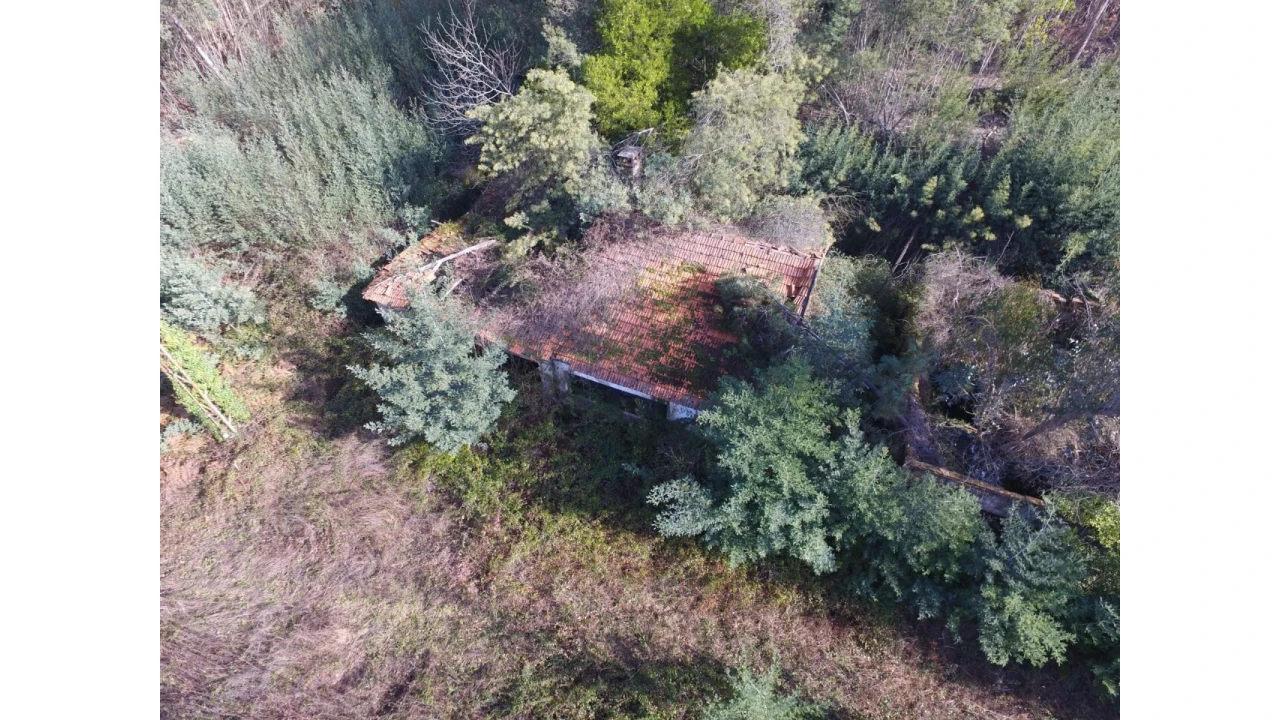 Quinta T16 para Venda em Pinheiro da Bemposta, Travanca e Palmaz Foto 22