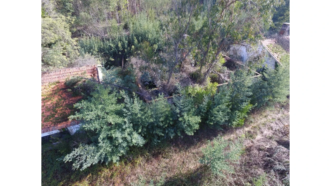 Quinta T16 para Venda em Pinheiro da Bemposta, Travanca e Palmaz Foto 23
