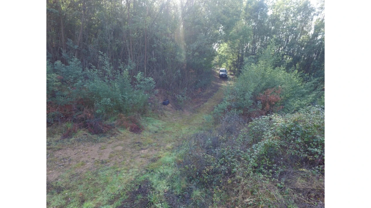 Quinta T16 para Venda em Pinheiro da Bemposta, Travanca e Palmaz Foto 24