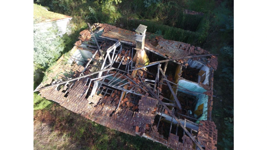 Quinta T16 para Venda em Pinheiro da Bemposta, Travanca e Palmaz Foto 5