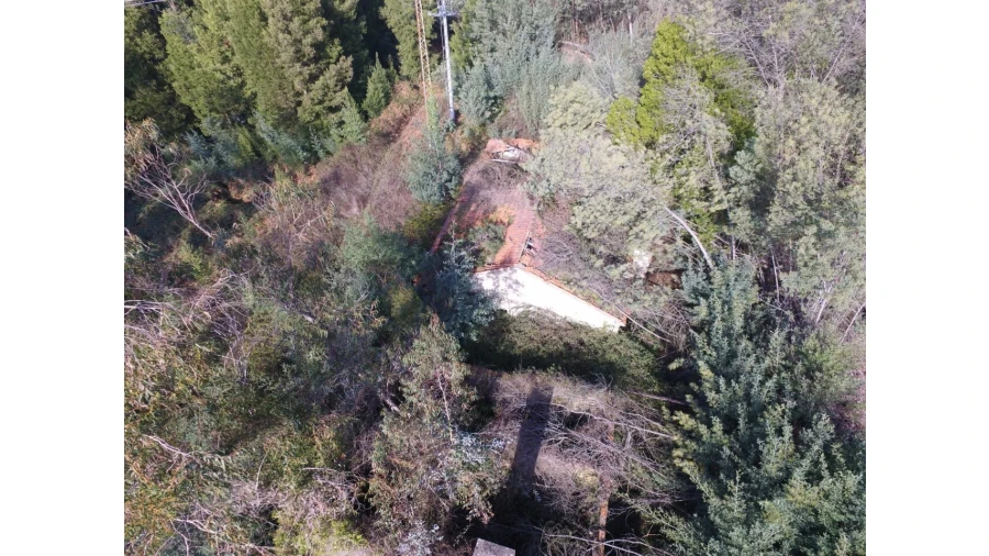 Quinta T16 para Venda em Pinheiro da Bemposta, Travanca e Palmaz Foto 6