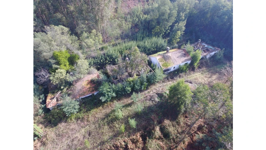 Quinta T16 para Venda em Pinheiro da Bemposta, Travanca e Palmaz Foto 1