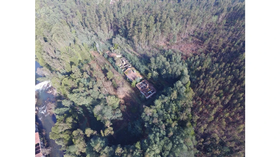 Quinta T16 para Venda em Pinheiro da Bemposta, Travanca e Palmaz Foto 7