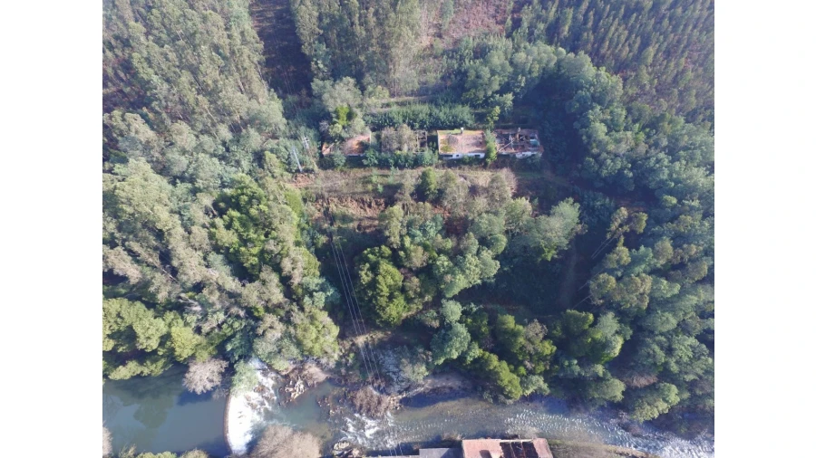 Quinta T16 para Venda em Pinheiro da Bemposta, Travanca e Palmaz Foto 4