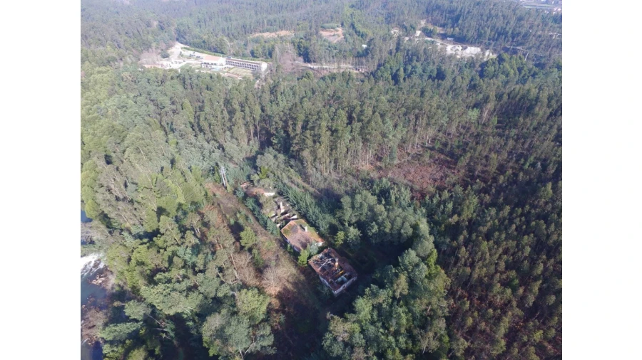 Quinta T16 para Venda em Pinheiro da Bemposta, Travanca e Palmaz Foto 8