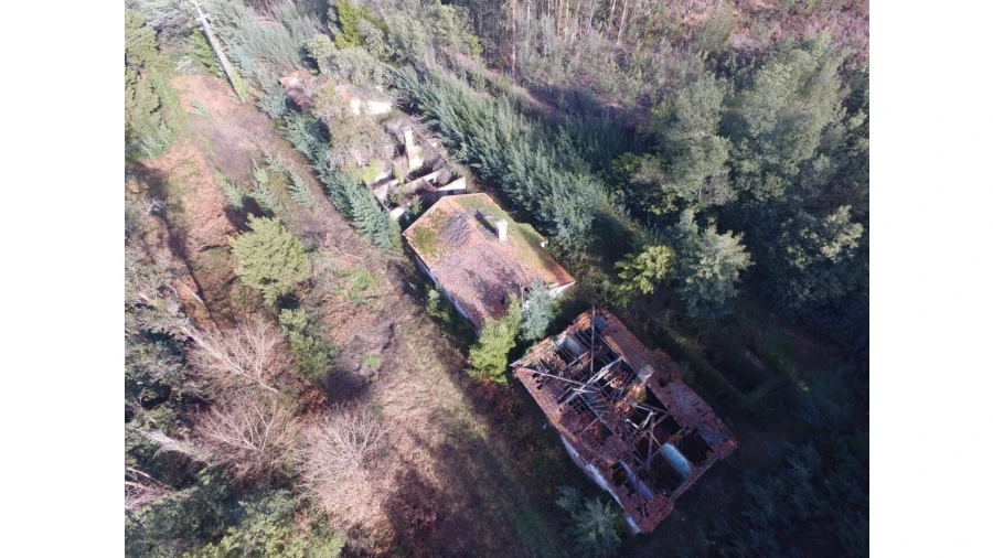 Quinta T16 para Venda em Pinheiro da Bemposta, Travanca e Palmaz Foto 11