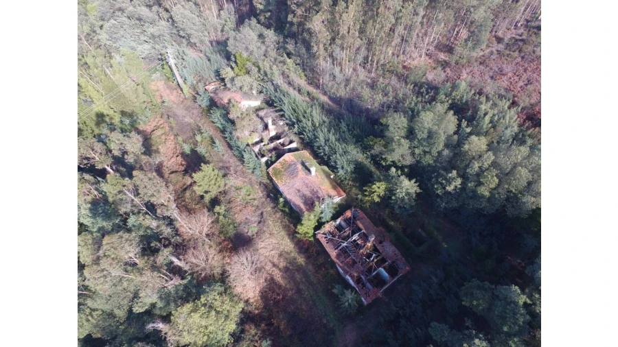 Quinta T16 para Venda em Pinheiro da Bemposta, Travanca e Palmaz Foto 12
